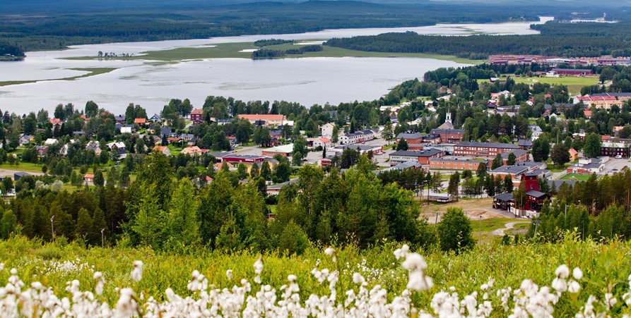 Utsikt från Tjamstanberget över Malå samhälle och Malån.